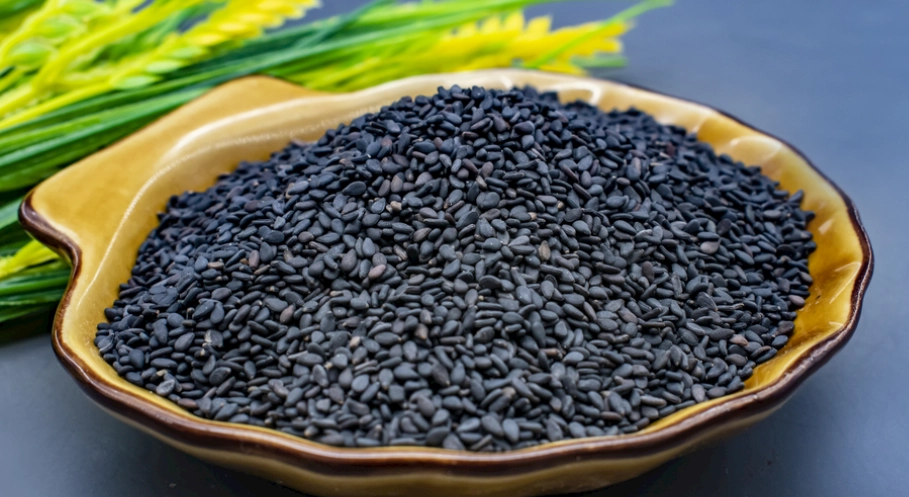 狗吃芝麻安全嗎？完整解析芝麻對狗狗的健康影響與餵食指南