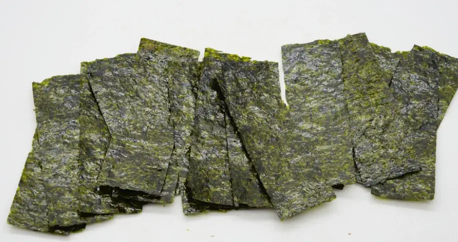 海苔對狗狗有害嗎