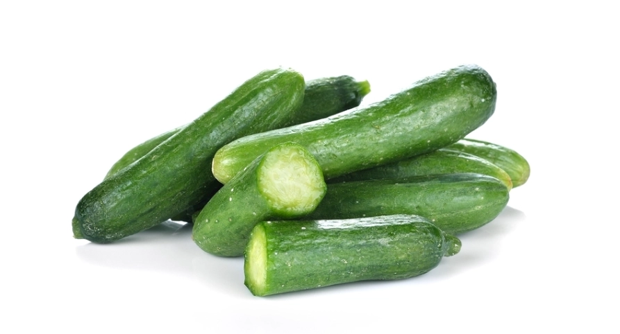狗狗可以吃什麼？安全與危險食物完整指南