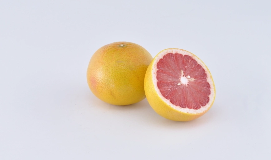 狗可以吃葡萄柚嗎？獸醫解析毒性風險與安全餵食指南