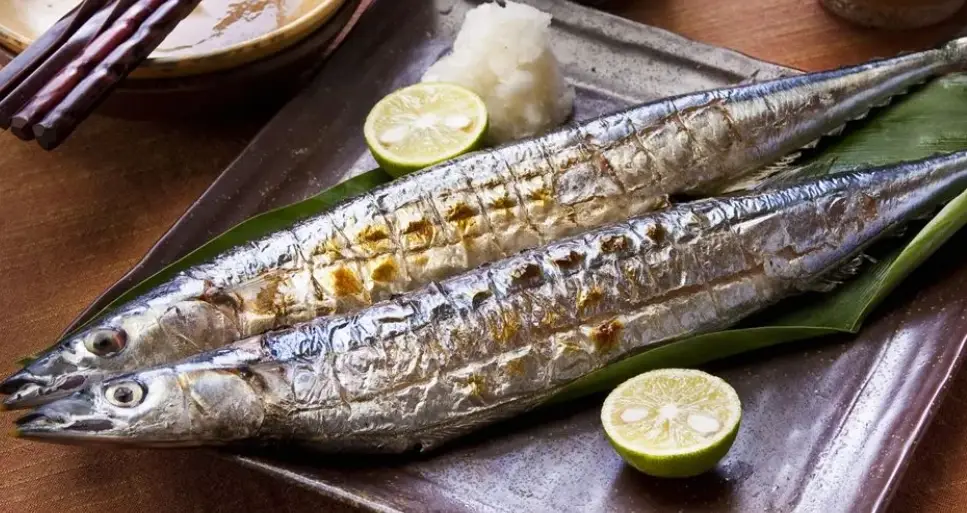 狗狗吃魚