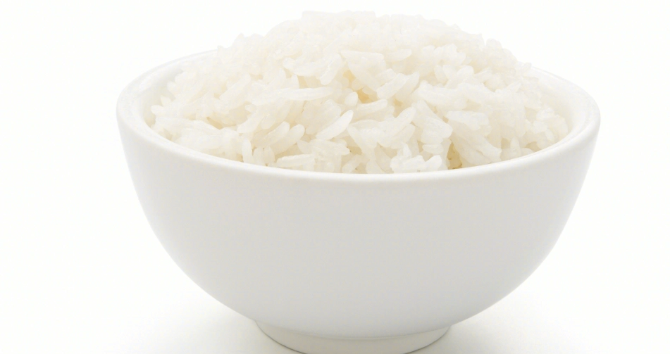 貓可以吃白飯嗎？獸醫解析風險、營養與安全餵食全指南