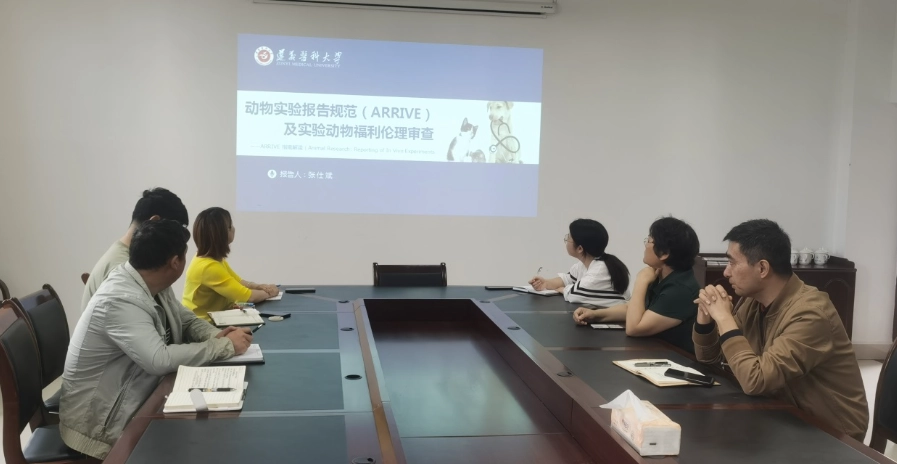 實驗動物指南：完整解析核心原則、實務應用與常見問題