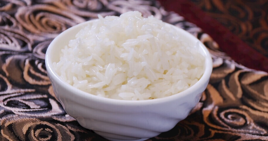 狗吃白飯拉肚子？獸醫解析原因、預防與緊急處理全攻略