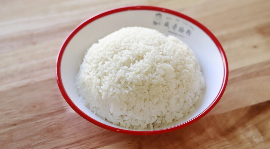 寵物白飯餵食