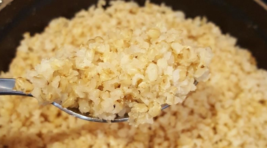 狗狗可以吃糙米飯嗎？獸醫專家詳解餵食安全與禁忌