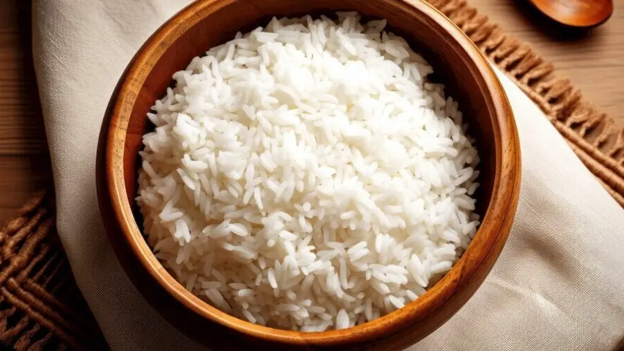 狗飲食禁忌
