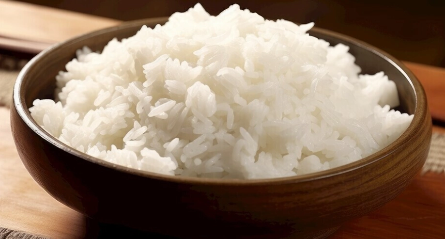 狗狗吃白飯安全嗎？完整餵食指南與常見誤區解析