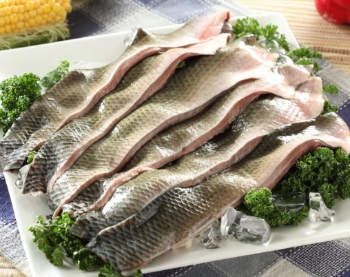 魚皮 來源