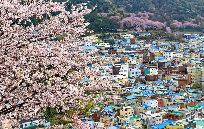釜山自由行