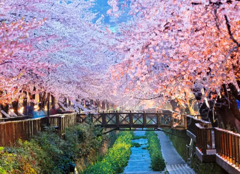 釜山自由行