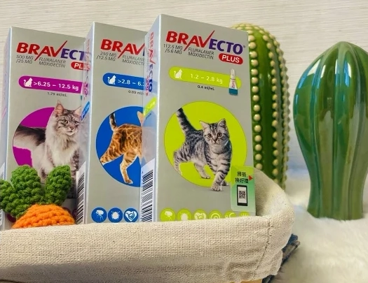 幼犬驅蟲時間