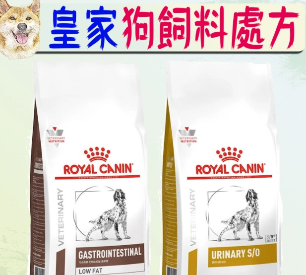 獸醫解析狗處方飼料：選購指南、常見迷思與餵食建議