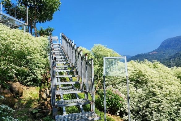 仙湖休閒農場