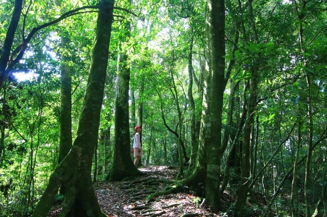 石壁山