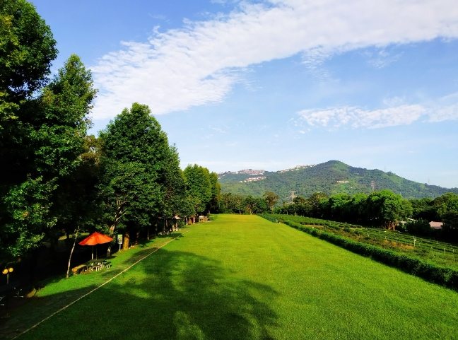 文山休閒農場