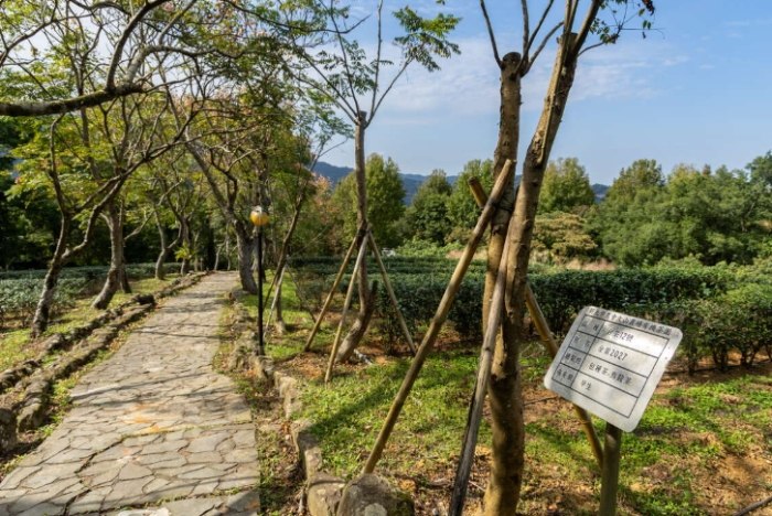 文山休閒農場