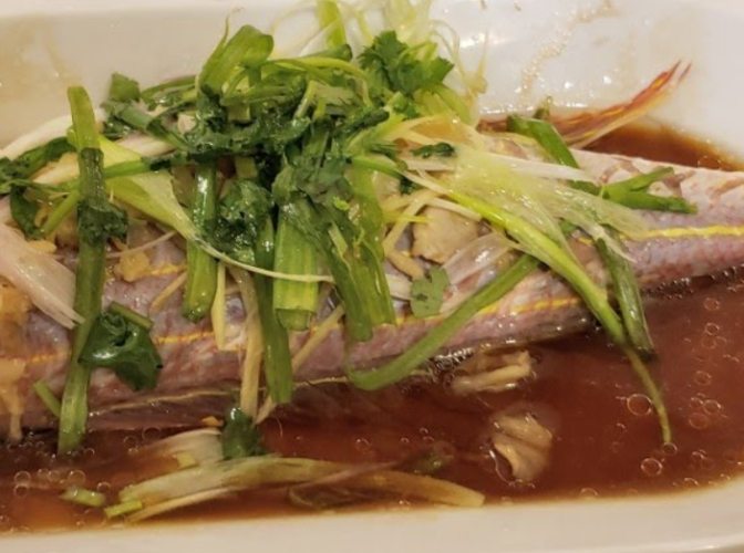 紅衫魚