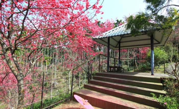 鶯山民宿