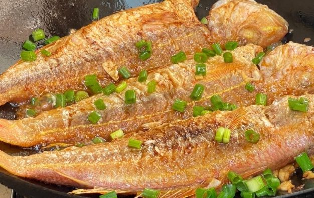 紅衫魚