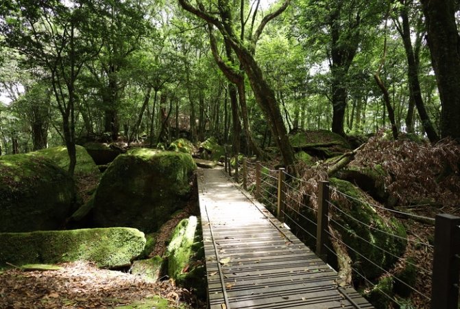苗栗夏天旅遊