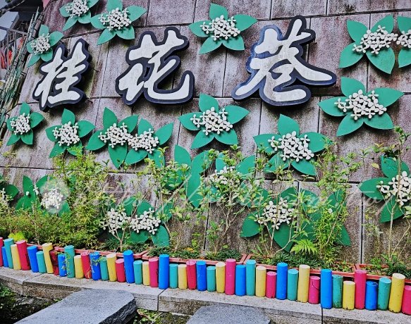 南庄旅遊攻略