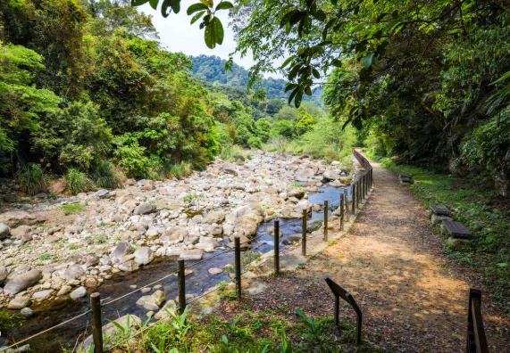 苗栗深度旅遊