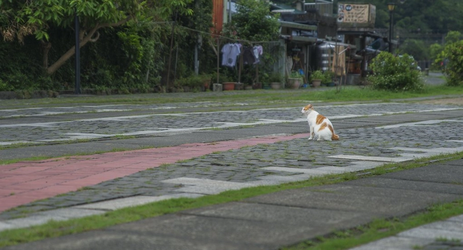 平溪天燈