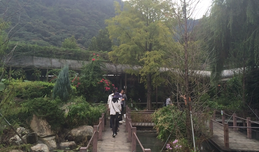 休閒農業旅遊