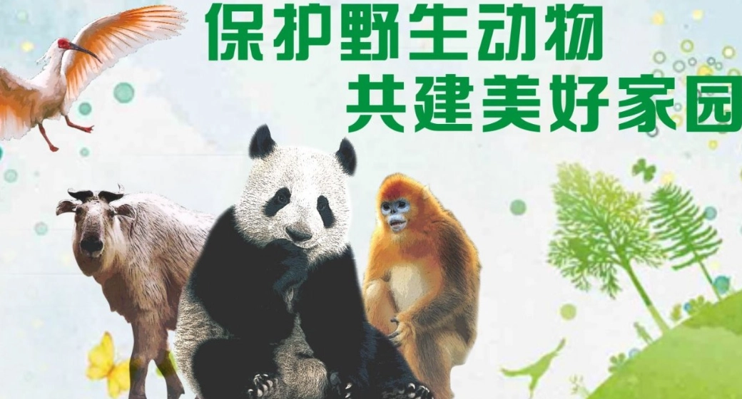 社團管理