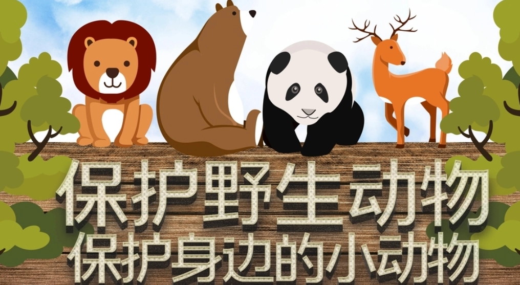 寵物飼養規定